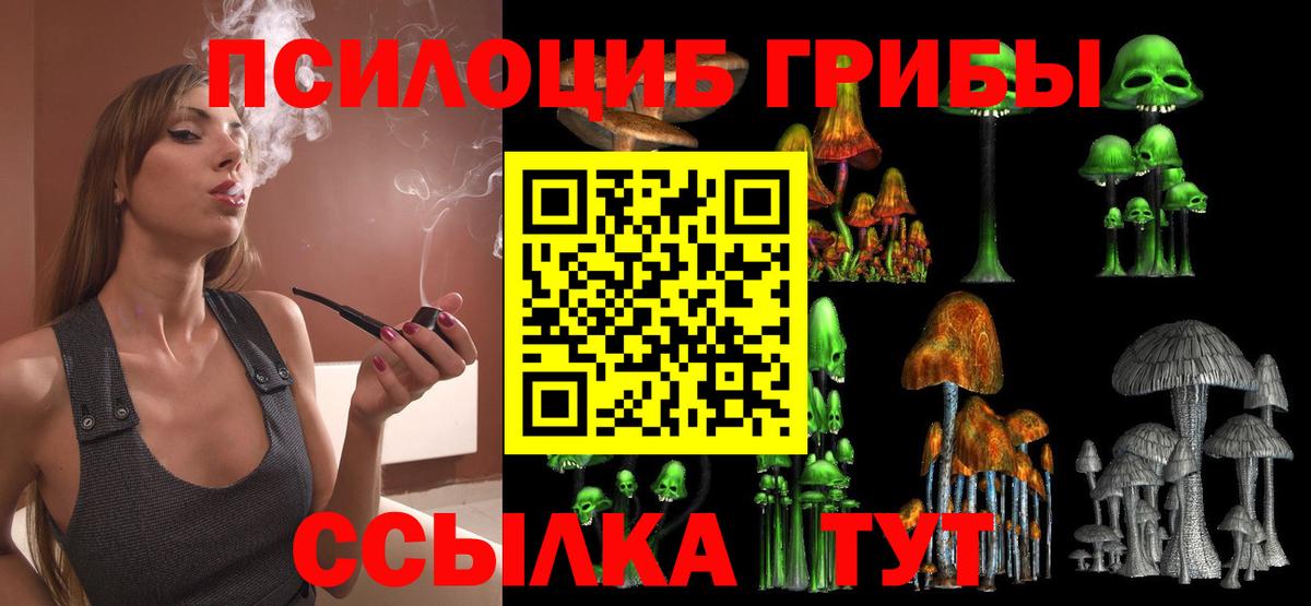 Галлюциногенные грибы Magic Shrooms  Вход с VPN  Качканар  Псилоцибиновые грибы Psilocybine cubensis 